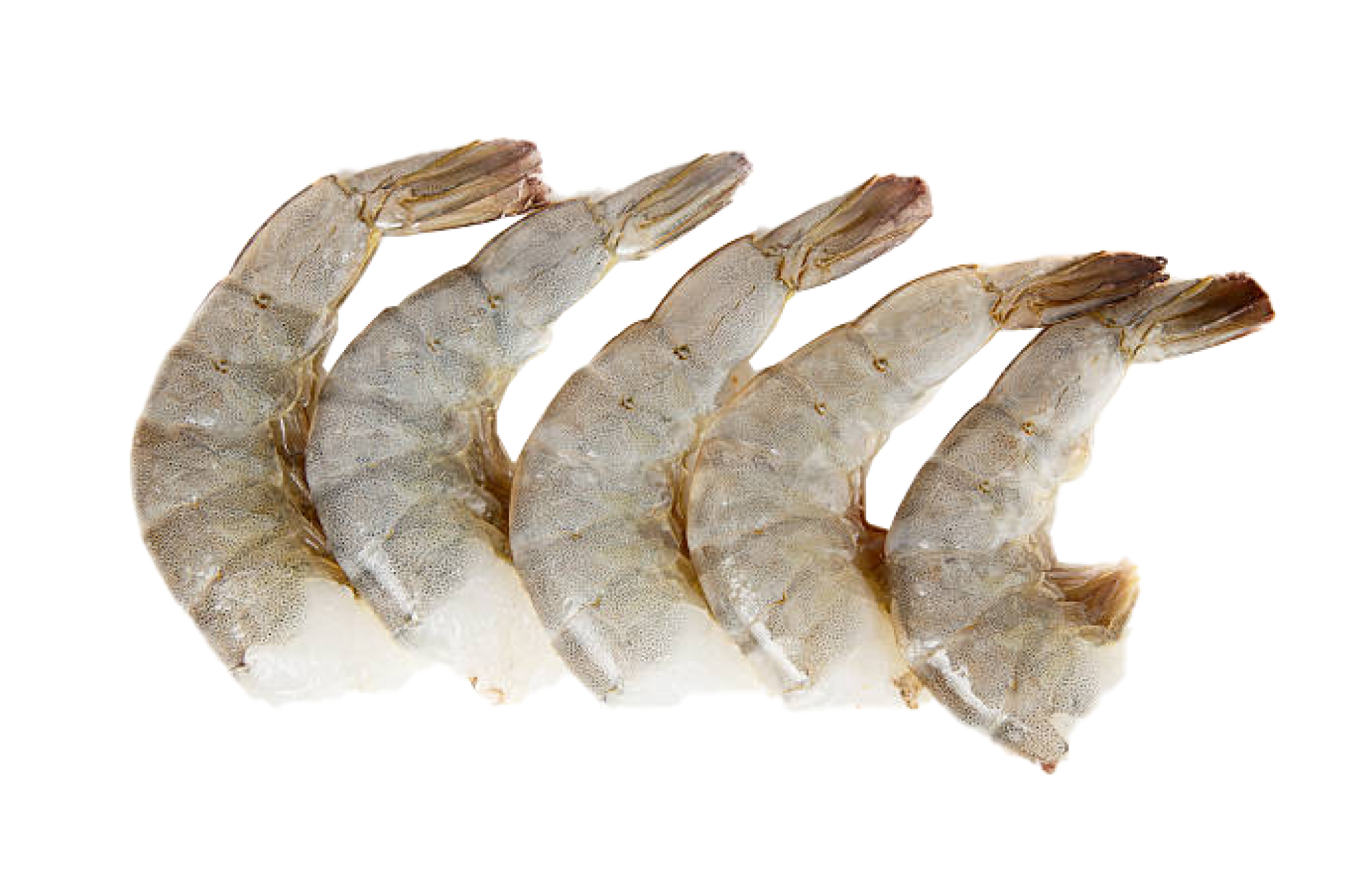 CAMARÃO SEM CABEÇA COELHO E DIAS SITE-01 CAMARÃO SEM CABEÇA COELHO E DIAS