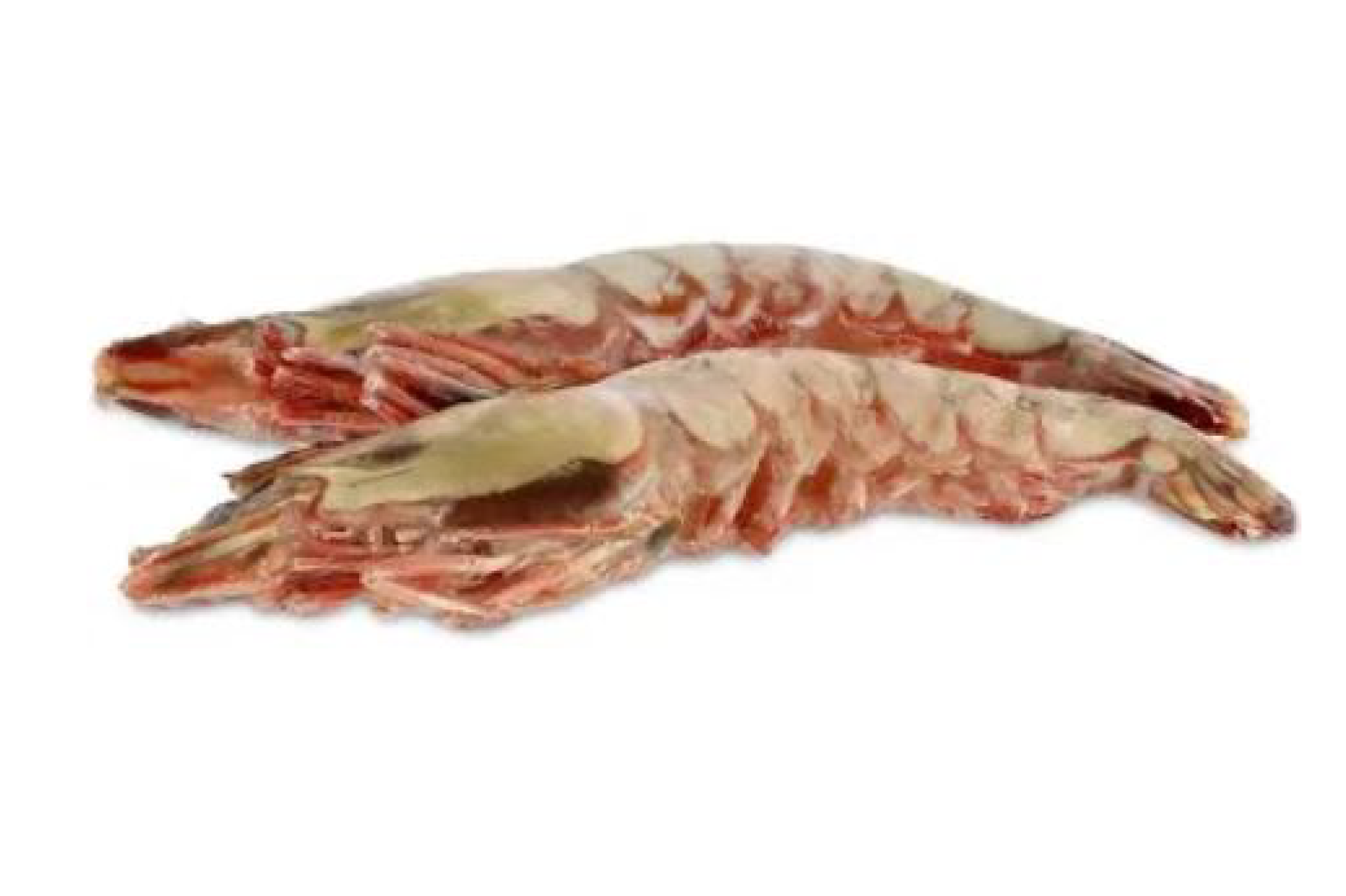 CAMARÃO TIGRE COELHO E DIAS CAMARÃO TIGRE COELHO E DIAS