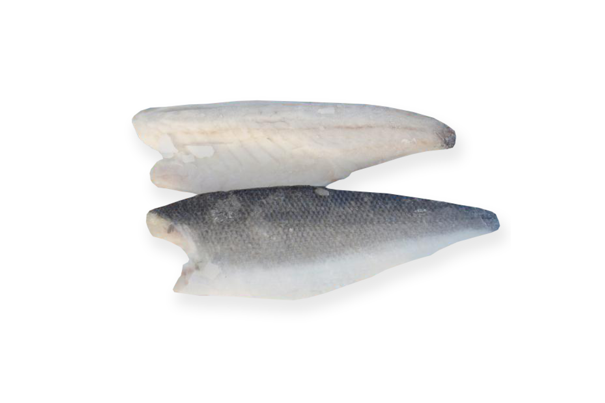 FILETE ROBALO COELHO E DIAS FILETE ROBALO COELHO E DIAS