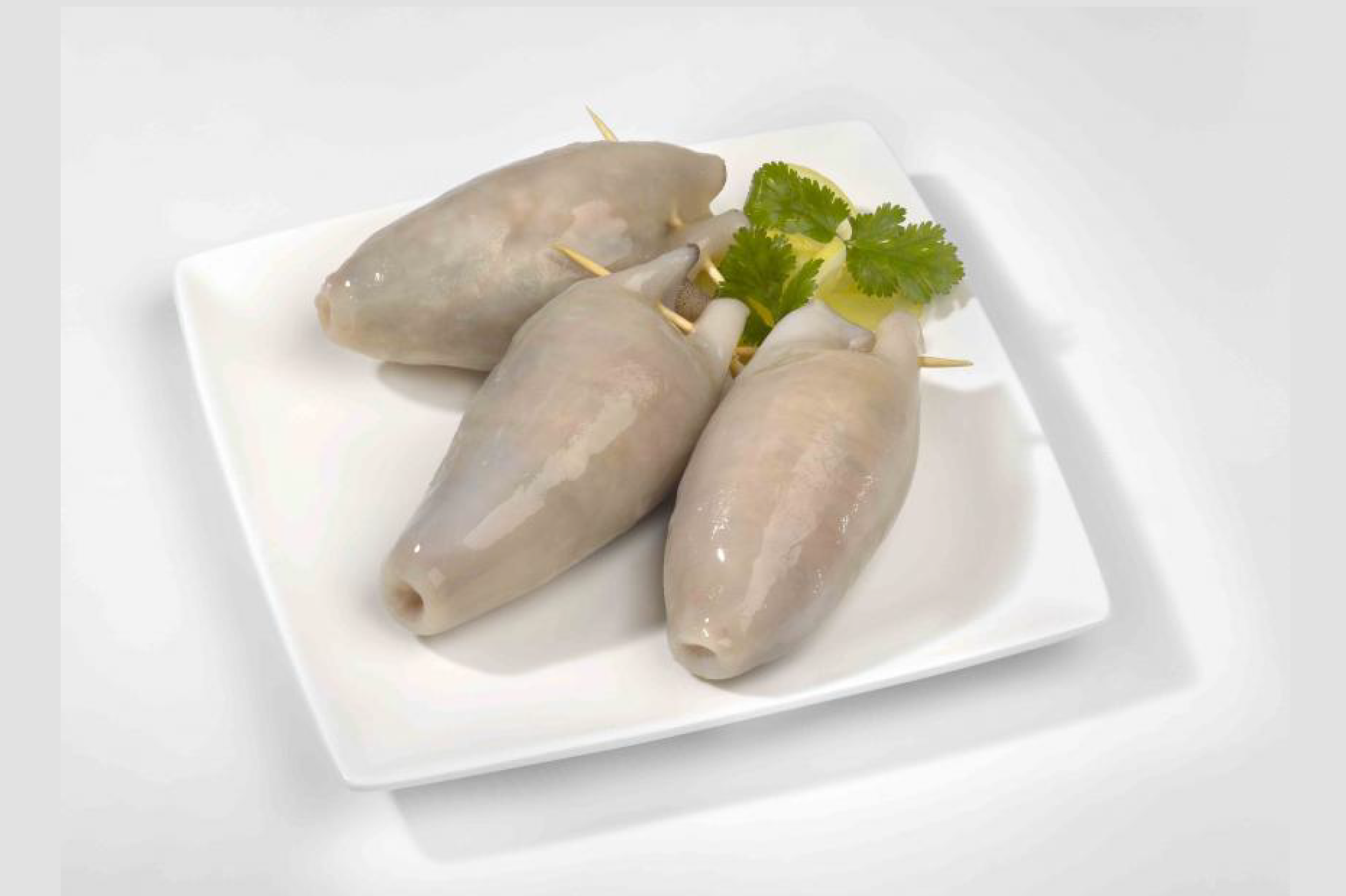 POTA RECHEADA COELHO E DIAS