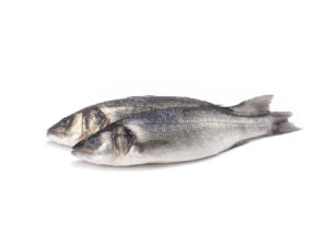 Robalo