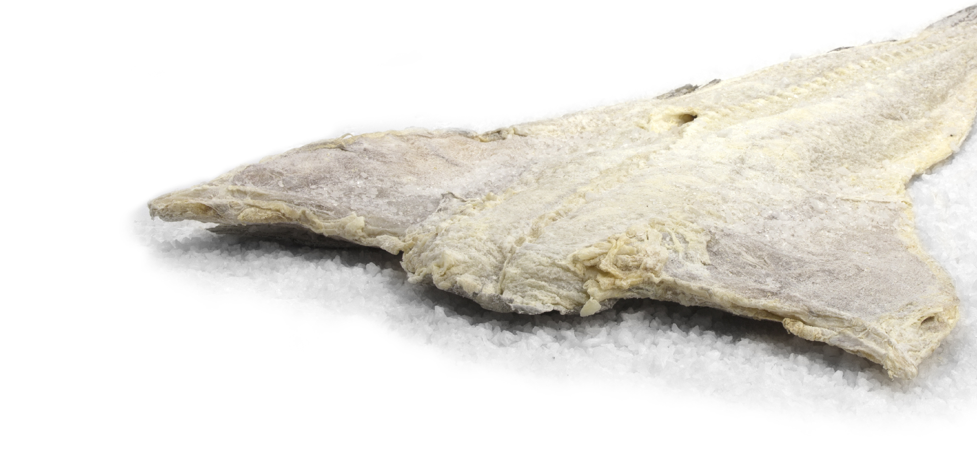 bacalhau-comp