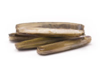 navalhas