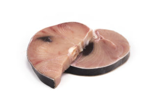 tubarao-marracho-posta
