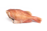 peixe vermelho inteiro