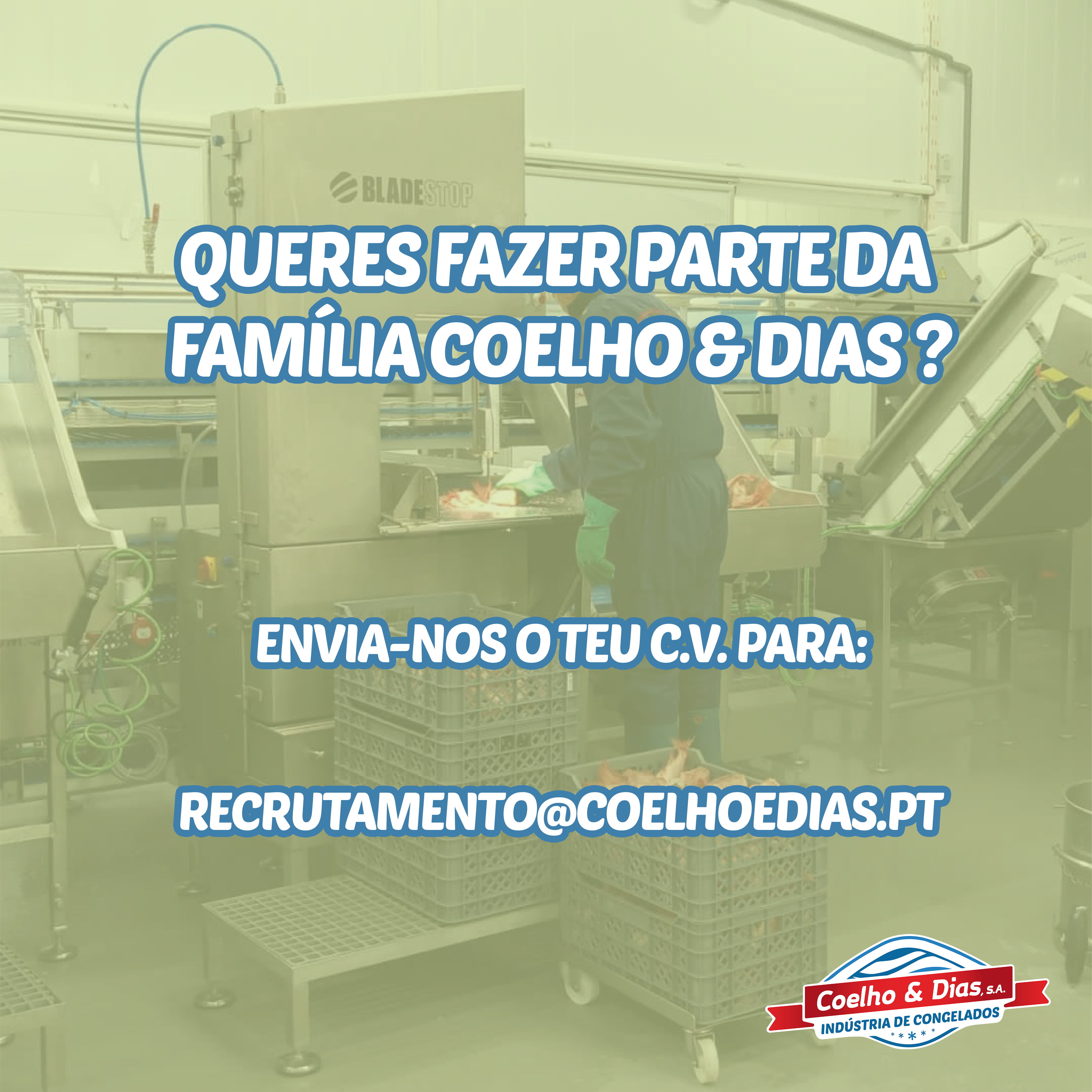 RECRUTAMENTO COELHO E DIAS RECRUTAMENTO COELHO E DIAS