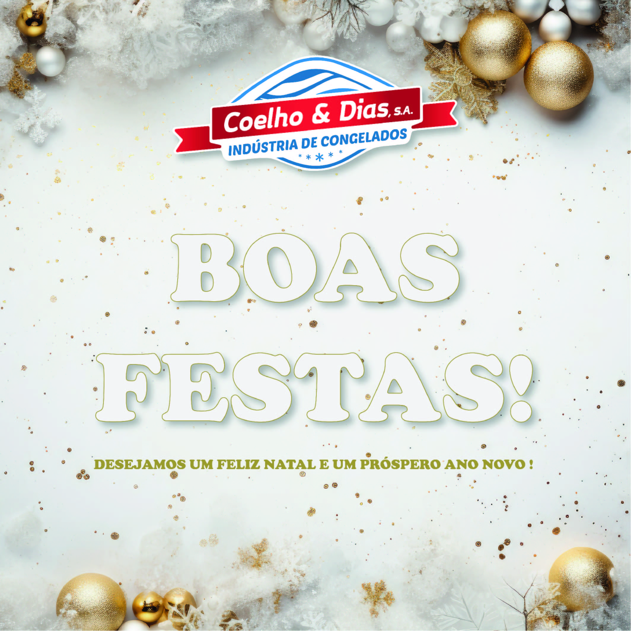 BOAS FESTAS COELHO E DIAS