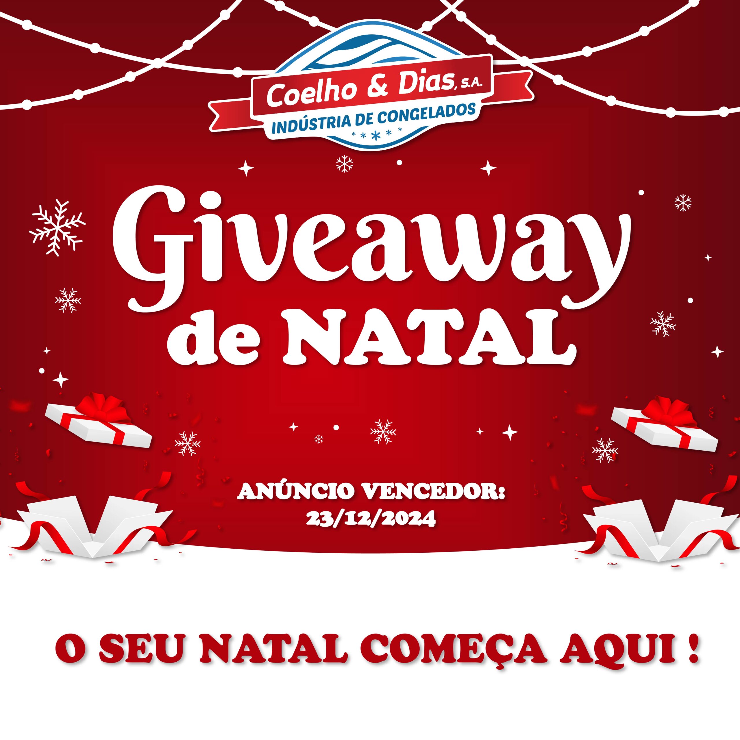 GIVEAWAY DE NATAL 2024 - COELHOEDIAS