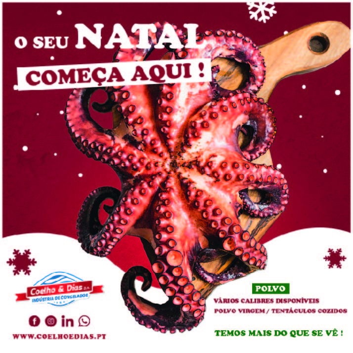 O SEU NATAL COMEÇA AQUI - POLVO COELHO E DIAS