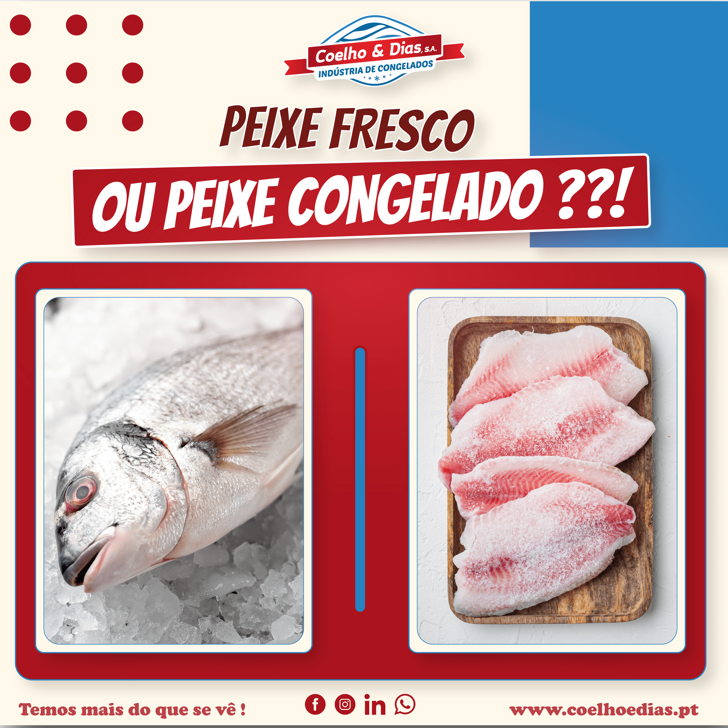 PEIXE FRESCO OU CONGELADO ? COELHO E DIAS
